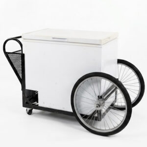 Ice cream & paleta cart #3
