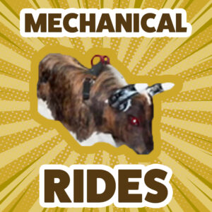 Mechanical Rides